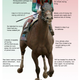 Image for article titled Animal Kingdom